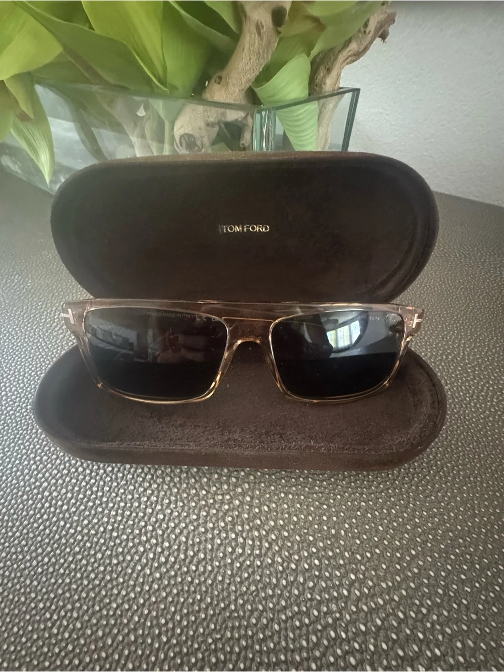 Tom Ford Amber Brown Transparent Rectangular Sunglasses with Dark Lenses